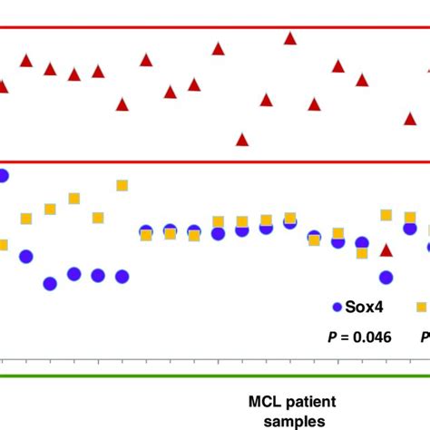 Sox11 Is Overexpressed In Mcl Patient Samples Microarray Analysis On 5 Download Scientific