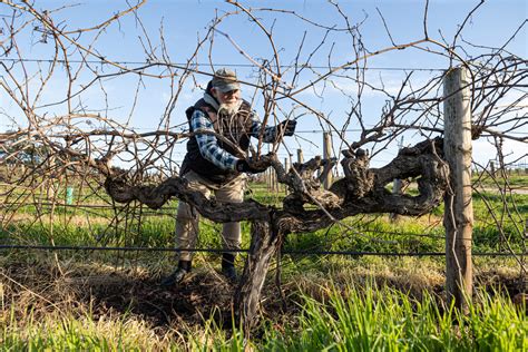 The Wine Advocate April 2024 Torbreck Vintners