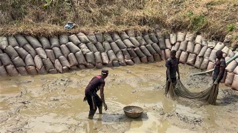 Fish Farming Earthen Pond Preparation For Catfish Farming Youtube