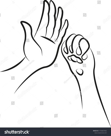 Hand Cats Paw High Five Friendship Stock Vector Royalty Free