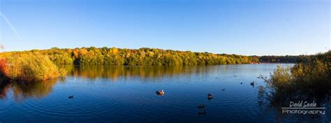 Ruislip Lido | Visitor and Car Park Information