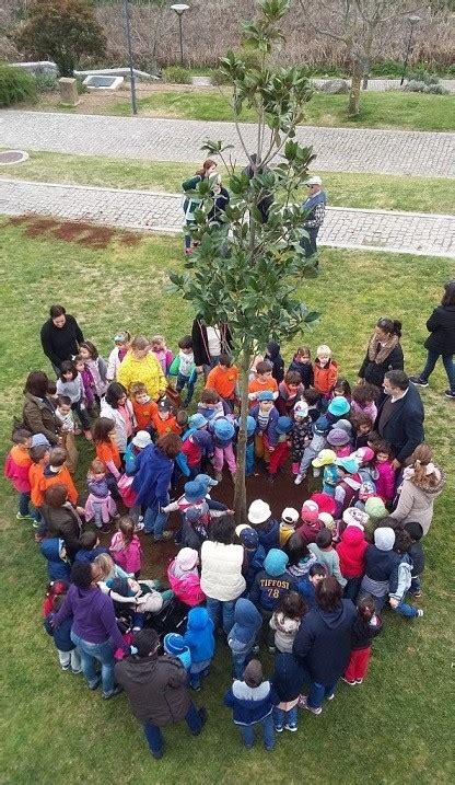 Monchique Presta Homenagem Maior Magn Lia Em Dia Da Rvore Mais Algarve