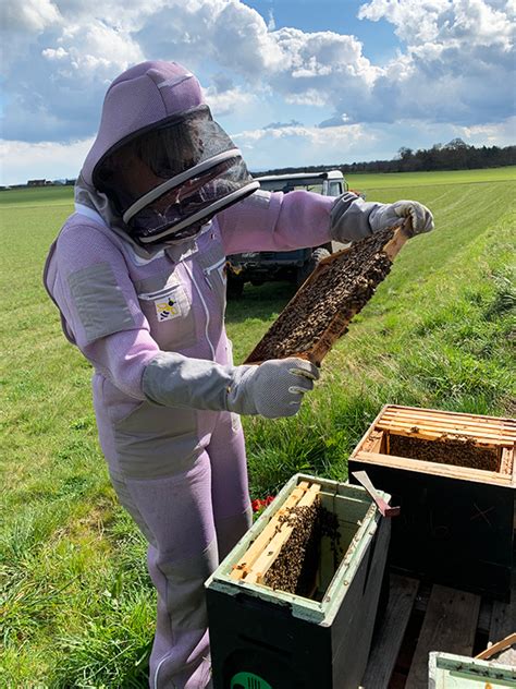 Hedgerow Honey Made In Shropshire