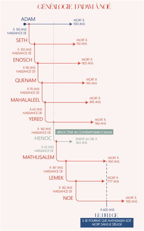 Arbre Genealogique Adam Eve