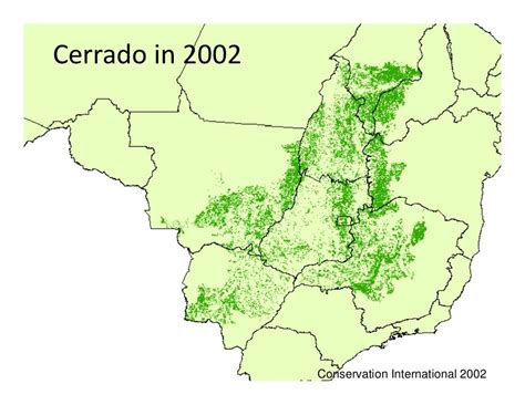 Cerrado in 2002 Conservation International 2002