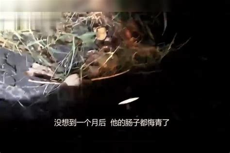 男子河边捡到一些“丝带”，带回家一个月后，肠子都悔青了！