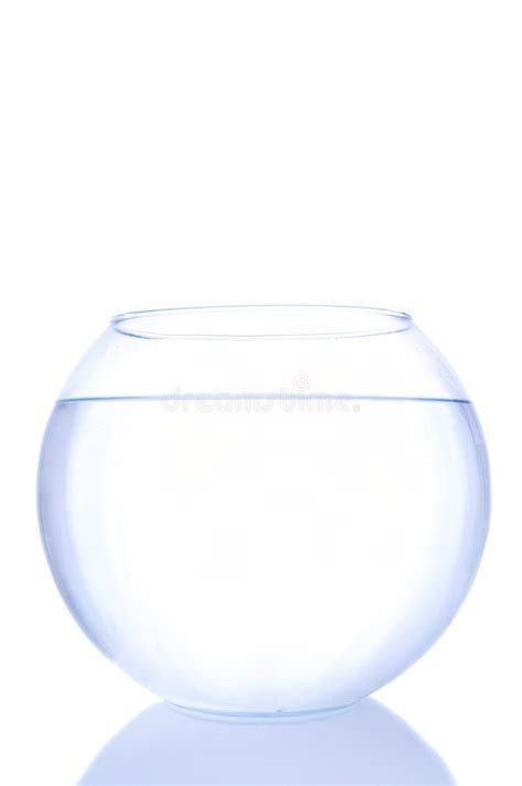 Empty fish bowl stock photo. Image of fish, glass, freedom - 2376158