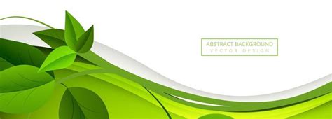 Green Banner Vector Art, Icons, and Graphics for Free Download