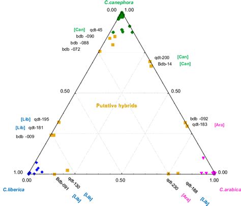 Genetic Admixture Analysis Of The Sarram Ea Population New Caledonia