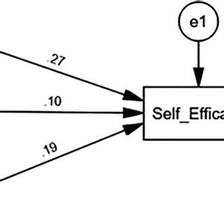 Explanatory model of resilience based on self-efficacy, social ...