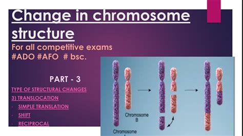 Change In Chromosomal Structure Translocation YouTube