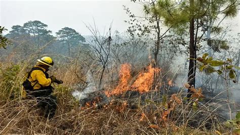 Guatemala reporta 131 incendios forestales activos en el país teleSUR