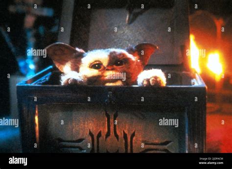 GIZMO, GREMLINS, 1984 Stock Photo - Alamy