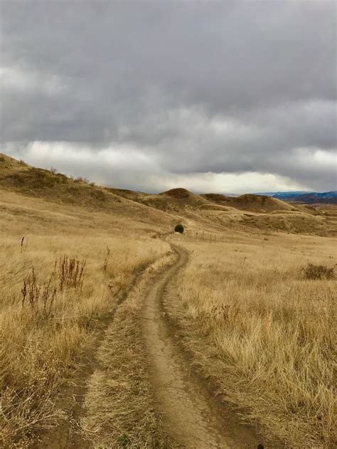 Green Mountain Open Space Colorado Hike Guide Virtual Sherpa Green