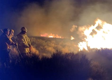 Lograron Contener Y Sofocar El Incendio De Pastizales