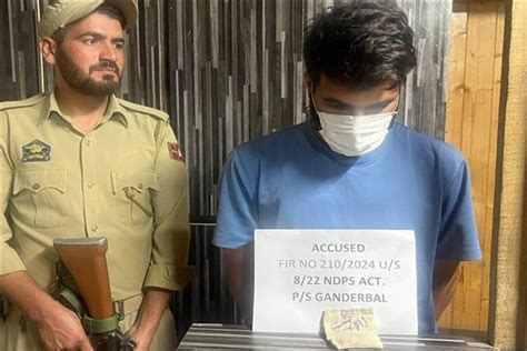 Ganderbal Police Arrest Notorious Drug Peddler Contraband Seized