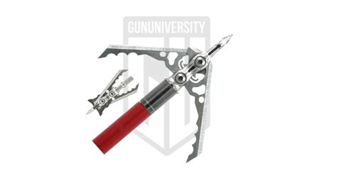 6 Best Mechanical Broadheads 2025: Find the Right One for You