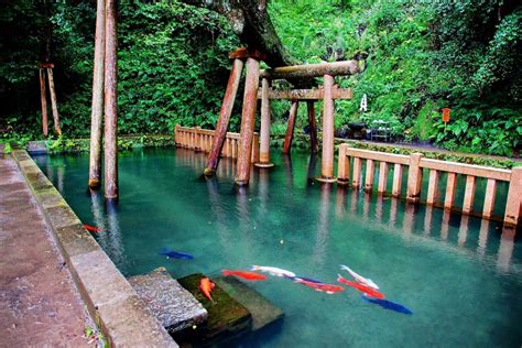 鹿島神宮 御手洗池の絶景ZEKKEI Japan