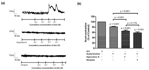 A Representative Tracing And B Activity Of The Contractile Response