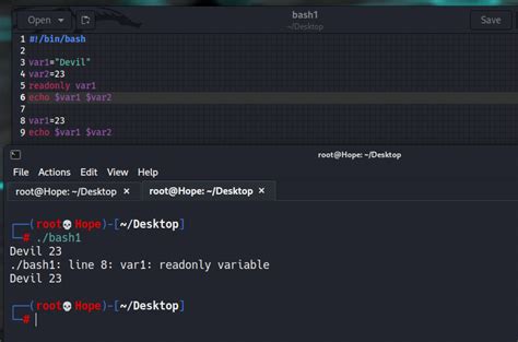 Shell Scripting Shell Variables Geeksforgeeks