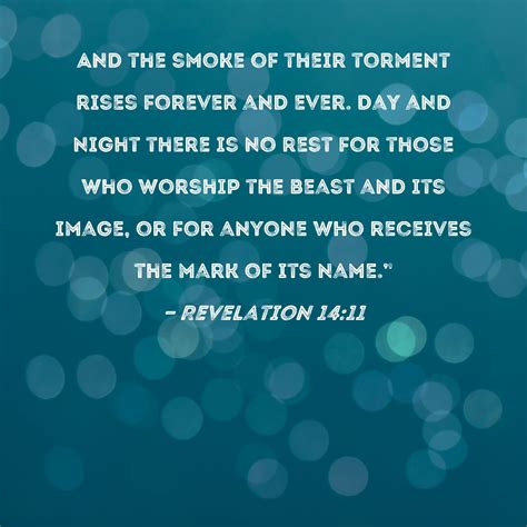 Revelation 14:11 And the smoke of their torment rises forever and ever ...