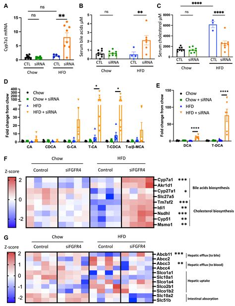 Liver Specific Fgfr Knockdown In Mice On An Hfd Increases Bile Acid