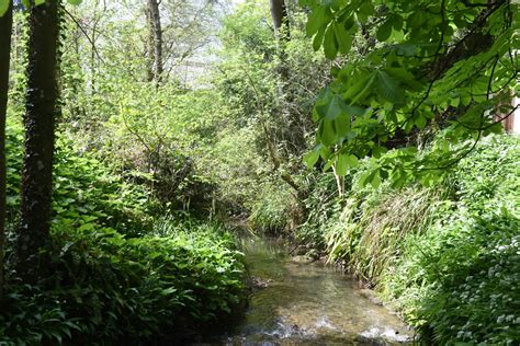 Région Normandie on Twitter Les forêts couvrent 14 de la Normandie