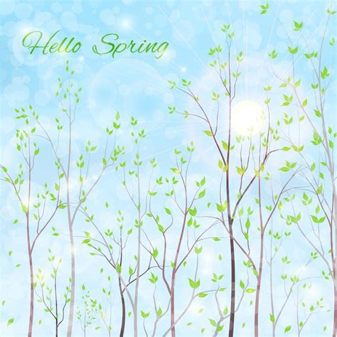 Premium Vector | Spring background park