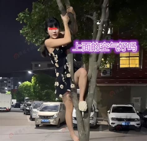 女子深夜爬树，让路人帮她把树下的狗赶走，路人：做我女友就帮你