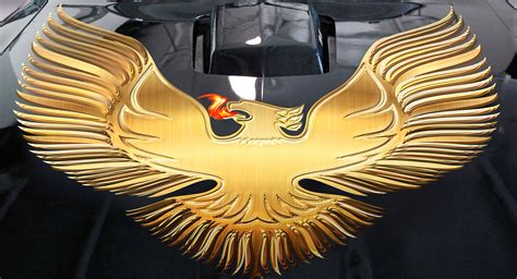 Golden Custom Trans Am Hood Decal - DaVinci Wrap Masters