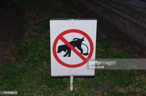 67 No Dog Pee Sign Stock Photos High Res Pictures And Images Getty