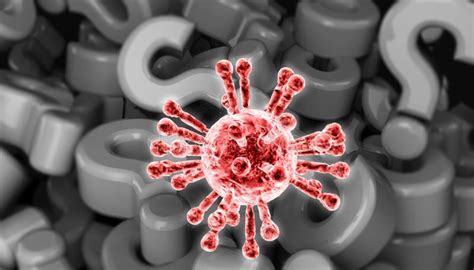 Vragen En Antwoorden Over Het Coronavirus Covid Alles Wat Er Te Weten