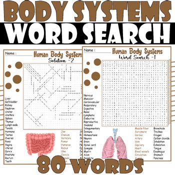 Human Body Systems Word Search Puzzle Body Systems Word Search Activities