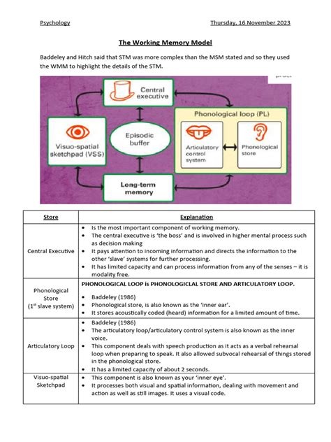 The Working Memory Model Aqa Psychology Pdf Working Memory