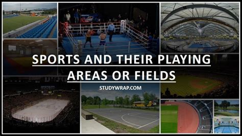 Sports And Their Playing Areas Or Fields Study Wrap