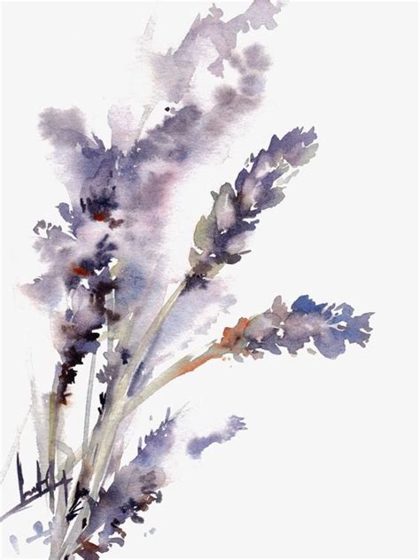 Watercolor Lavender PNG Images, Watercolor Clipart, Hand Painted ...