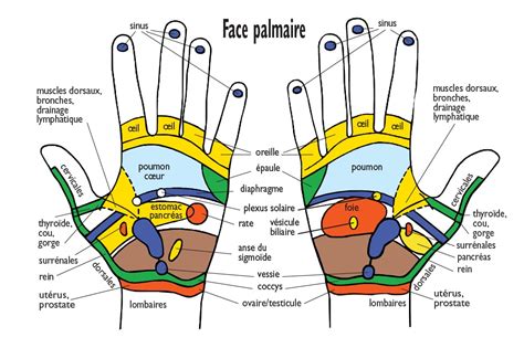 Les Bienfaits De La Réflexologie Ibiza Spa