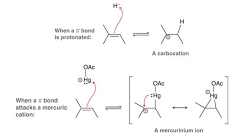 OChem Reaction Mechanism Review Flashcards Quizlet