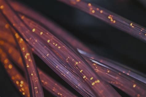 Los 24 Mejores Cable Edl Xiaomi : [mes] 2024