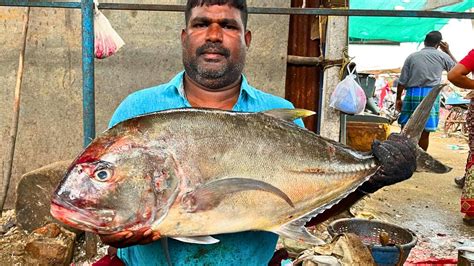 KASIMEDU MINNAL RAJA BIG TREVALLY FISH CUTTING IN KASIMEDU HD