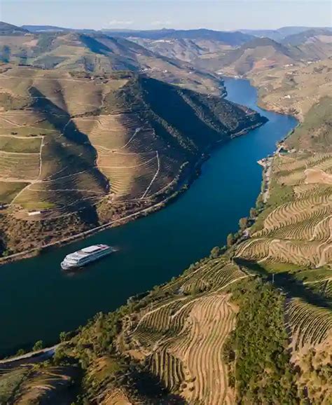 Douro River Cruises 2024 & 2025 | Crui.se