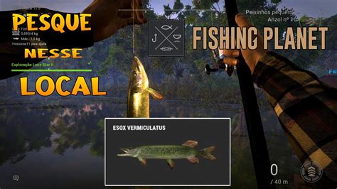 Fishing Planet Do Lvl Ao Como Pescar Esox Vermiculatus No