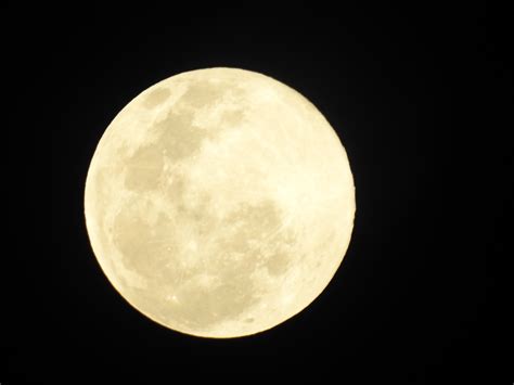 Gambar Malam Suasana Foto Kuning Bulan Purnama Lingkaran Penuh