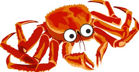 Crab Clipart Snow Crab Crab Snow Crab Transparent Free For Download On