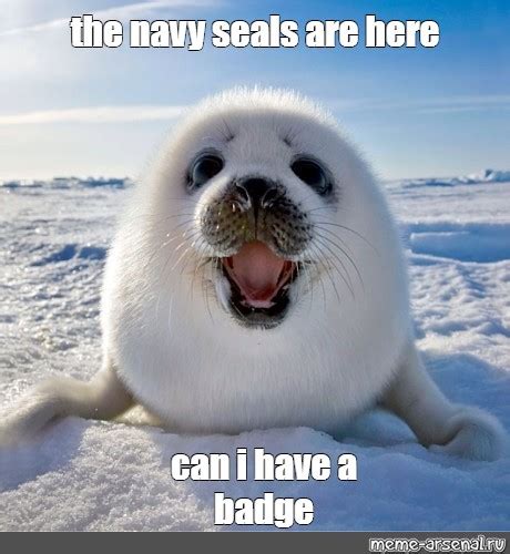 Navy Seal Memes