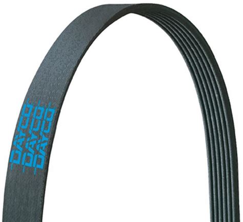 Dayco 5060883 Bq Poly Rib Belt Dayco Serpentine Belt Ebay