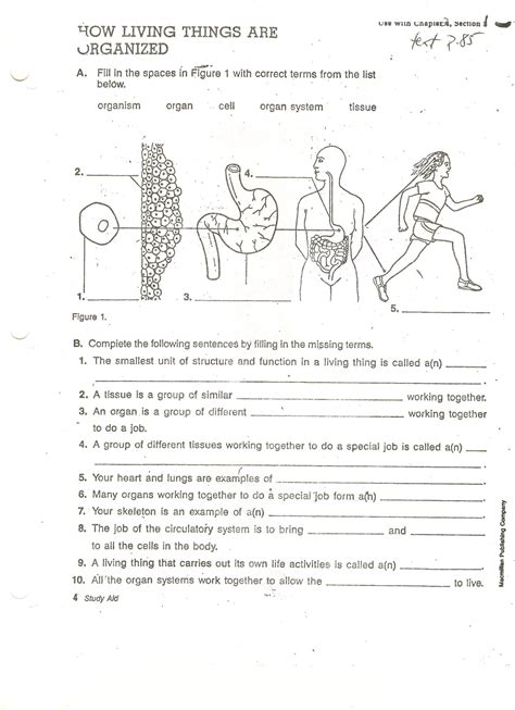 10th Grade Biology Printable Worksheets