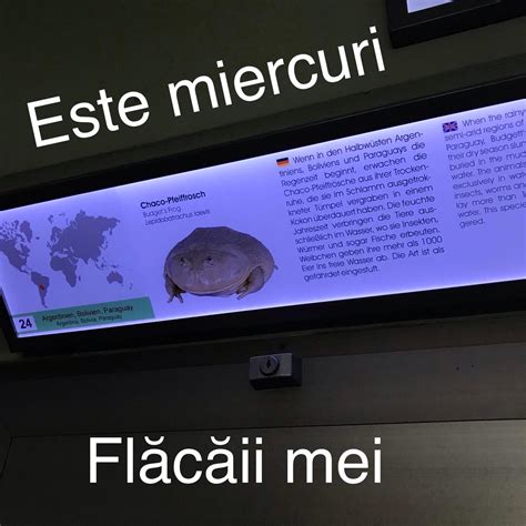 Zoo în Berlin : r/Romania