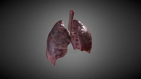 Smokers Lungs Animated 3d Model