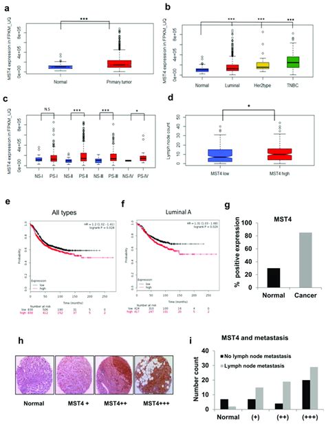 TCGA And Tissue Microarray Analyses Of MST4 Expression A TCGA BRCA